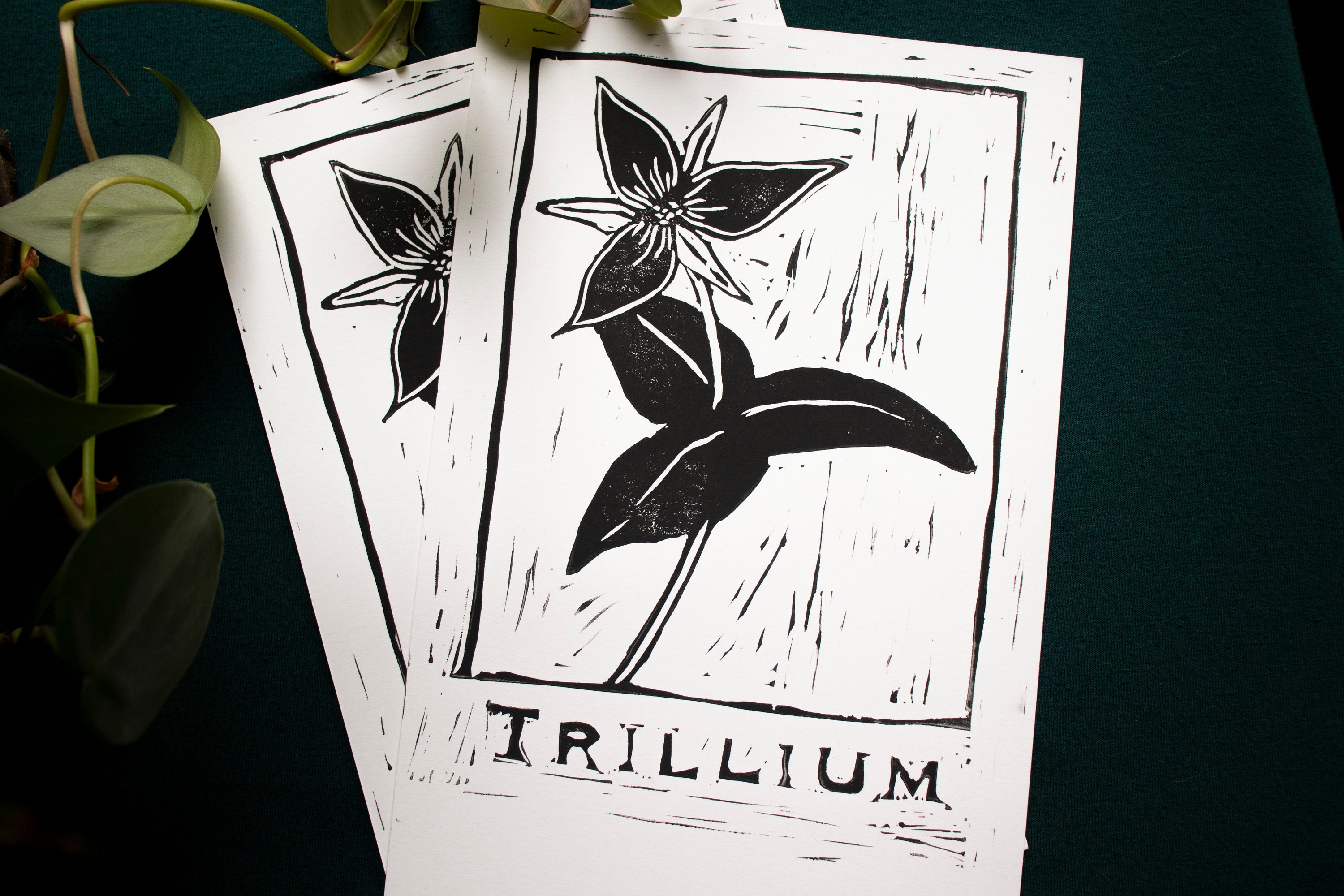 Trillium Tattoo by MinniBellSnow on DeviantArt