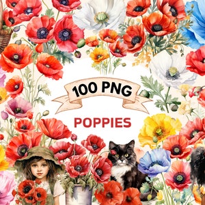 Mohnblumen Aquarell Clipart Bundle - 100 PNG Mohnblumen Bilder, schöne Blumengrafiken, PNG, sofortiger digitaler Download, kommerzielle Nutzung