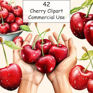 42 Clipart de cereja em aquarela, cerejas png digitais, gráficos para download instantâneo, uso comercial, pacote de cereja, clipart de frutas