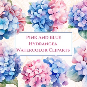 Hortensias Flores Acuarela Clipart, Hortensias rosas y azules, Imágenes prediseñadas de flores, Imágenes prediseñadas de flores de verano, Paquete floral PNG, Descarga instantánea