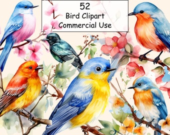 52 Watercolor Bird Clipart Bundle, Spring Birds Clipart, Birds Bundle, Colorful Birds Clipart, Birds On Branch Clipart, Digital PNG