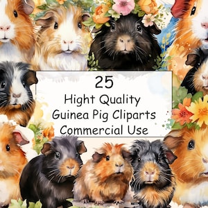 25 Watercolor Guinea Pigs Clipart PNG, Guinea Pigs png, Flower Guinea Pigs png,  Guinea Pigs Clip art, Commercial Use, Digital Download