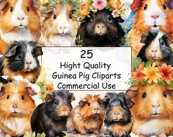 25 Watercolor Guinea Pigs Clipart PNG, Guinea Pigs png, Flower Guinea Pigs png,  Guinea Pigs Clip art, Commercial Use, Digital Download