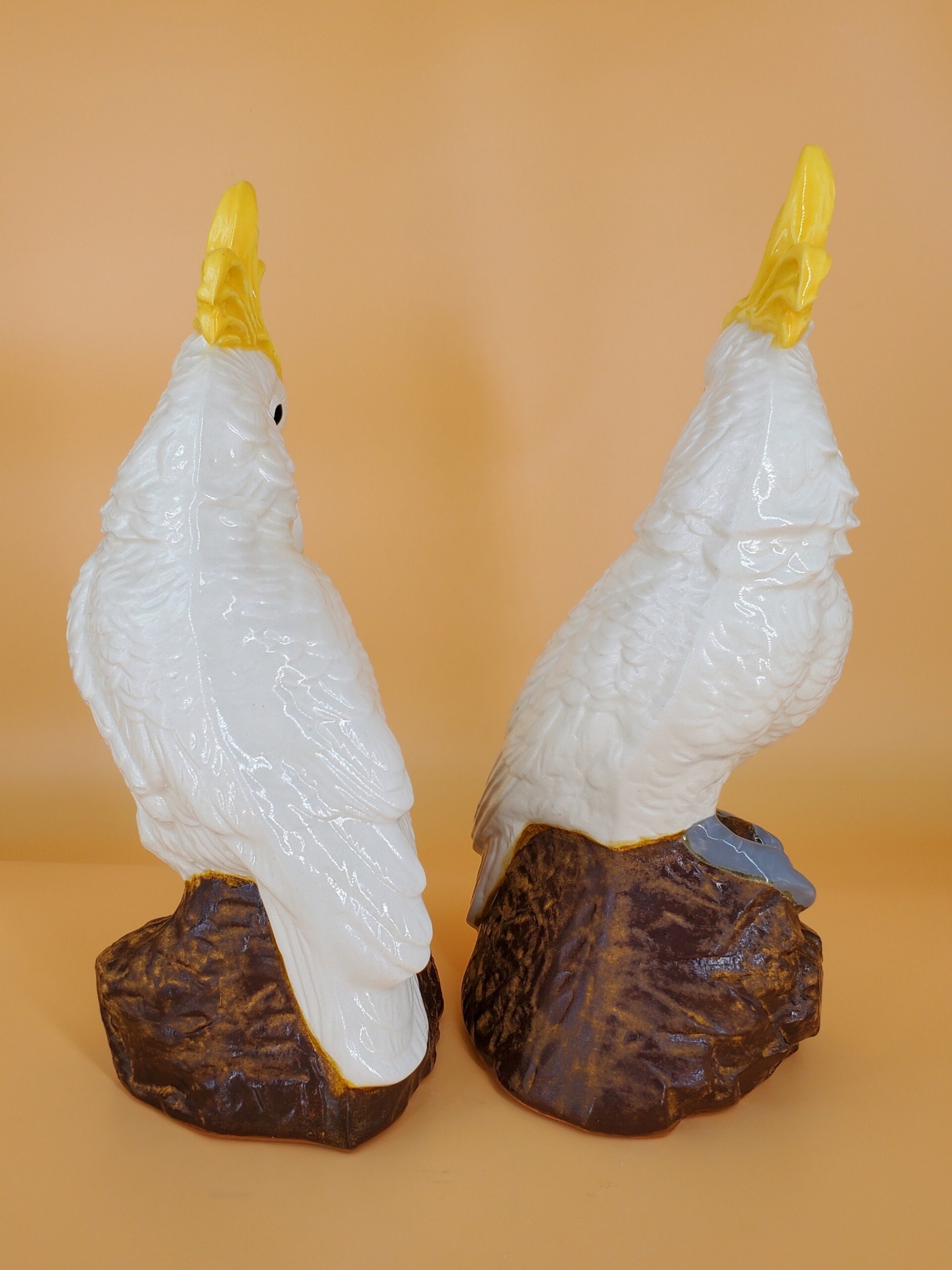 Cockatoo Slip Cast Ceramic Bisqueware Etsy