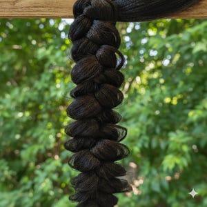May include: A close-up of a thick, black braided hair extension hanging from a wooden beam. The braid is tightly woven, with a textured appearance. The background is a blurred view of green foliage.