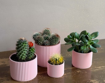 Set of 4 Pink 3D Printed Planters: Modern Home Decor