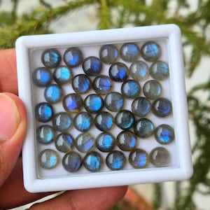 AAA+ Quality Natural Multi Color Labradorite Round Shape Cabochon Flat Back Calibrated Wholesale Gemstones, All Sizes Available