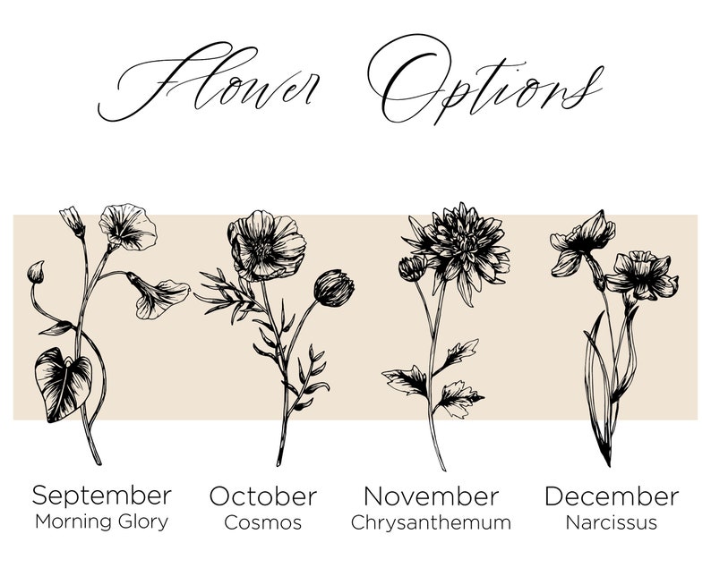 Puede incluir: Dibujos en blanco y negro de cuatro flores diferentes, cada una representando un mes diferente. Septiembre: Gloria de la ma&ntilde;ana, Octubre: Cosmos, Noviembre: Crisantemo, Diciembre: Narciso.