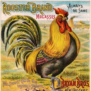 Rooster Brand Molasses Ad : Stretched Canvas, Rolled Paper and Framed Print Options