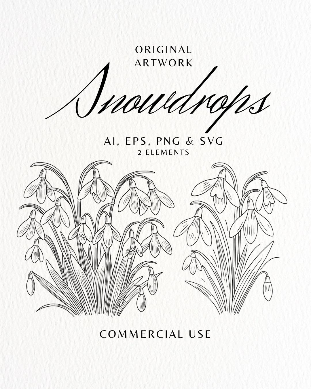 Snowdrops Flowers Line Art Clipart Hand Drawn Graphic Illustration Fine ...