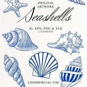 Blå snäckskal linjeteckningar Clipart handritad grafisk illustration fina linjer konturelement SVG PNG vektor clipart snäckskal