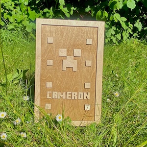 Peut inclure: Panneau en bois encadré avec le nom "CAMERON" en lettres en blocs. Le panneau présente un design pixélisé, avec une figure centrale et des carrés environnants. Le panneau est posé dans une zone herbeuse avec des marguerites.
