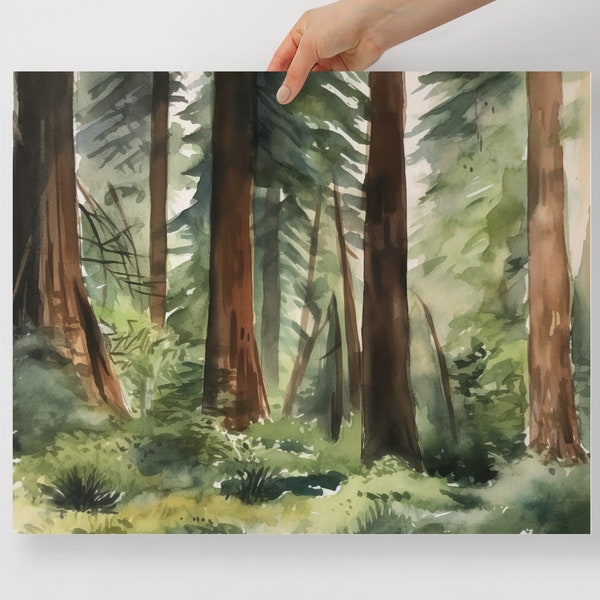 California Redwoods Watercolor Painting, Art