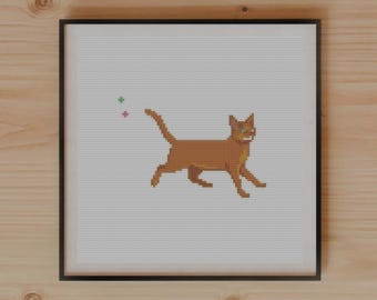 Abyssinian Cat Chasing Laser Dot (PDF Download)