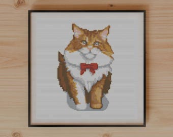 Adventurous Maine Coon Cat Chasing Ribbon