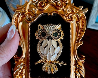 Kostbare uil broche sieraden kunst ingelijst 3 "x 4,5"