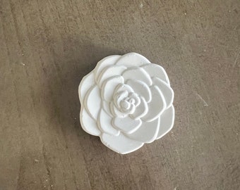 Rosa verniciabile