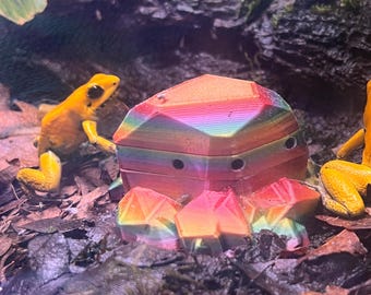 Frog Rock Fruit Fly Feeding Station Device for Dart Frogs, Geckos