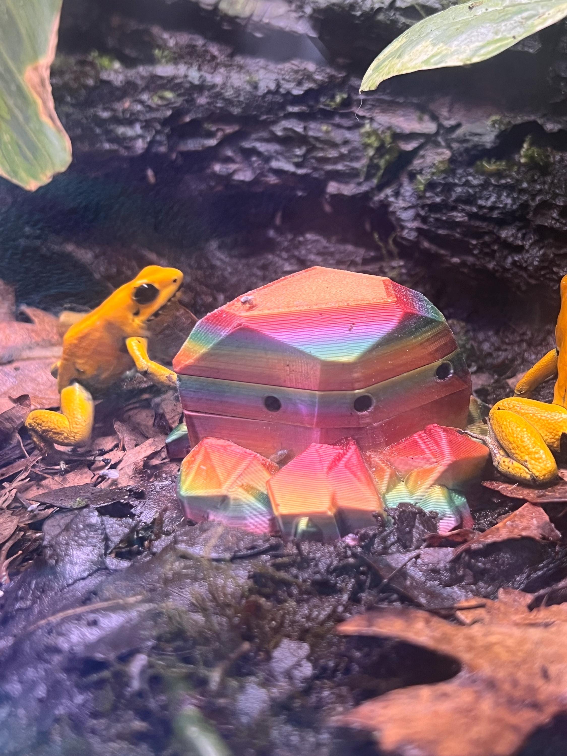 Frog Rock Fruit Fly Feeding Station Device for Dart Frogs, Geckos