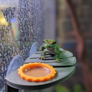 Leaf Ledge Arboreal Gecko Feeding Ledge Station