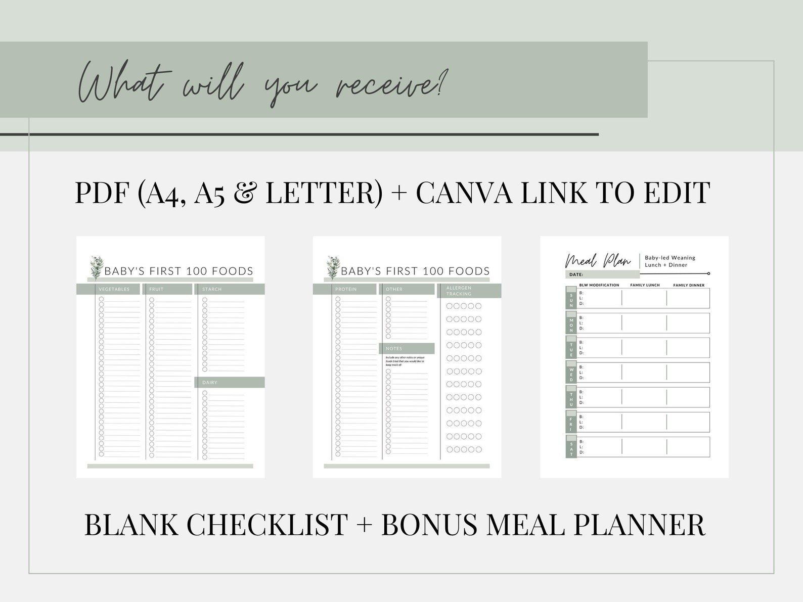 Baby First 100 Foods List | PRINTABLE Baby Led Weaning List | BLW Meal