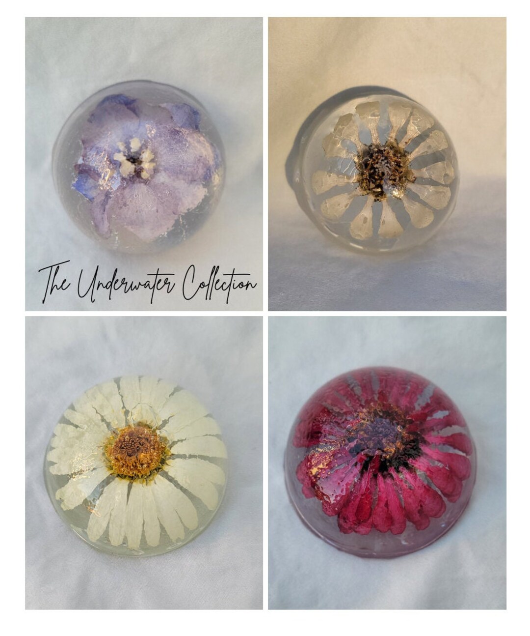 Handmade Dried Flower Resin Paperweights the Under Water Etsy