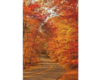 Scenic Autumn Drive Gallery Print, Nature Inspired Home Decor, Beautiful Burning Foliage Wall Art, Stretched Canvas Digital Print