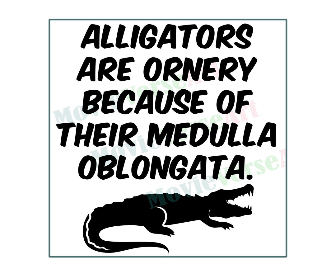 Waterboy Alligator Medulla Oblongata SVG PNG JPEG Etsy