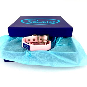 May include: A pink rubber dog collar with a silver buckle and a blue label that says "Puppybles" inside a blue box with white tissue paper.