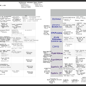 NURSING Study sheet on Nuero, pulmonary, & cardiac