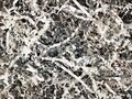 Crinkle Paper | Bulk Size | White and Silver Metallic Blend | 1 lb and 10 lb boxes | Party and Wedding Gift Boxes, Bags, Baskets