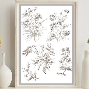 May include: A black and white illustration featuring a variety of flowers and a bird. The flowers are depicted in a detailed and realistic manner, showcasing delicate petals and leaves. The bird is perched on a branch, with its wings outstretched.