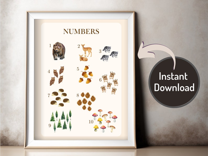 Montessori Classroom Printable Posters:educational Set of 3-abcs ...