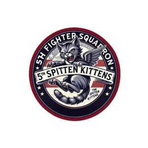 May include: A red, white, and blue circular patch with a black border and white stars. The patch features a cartoon gray cat with wings, flying and holding a banner that reads "5th SPITTEN KITTENS". The text "5TH FIGHTER SQUADRON" is written around the outside of the circle. The text "THE SPITTEN KITTENS" is written in a smaller font below the banner.