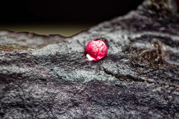 Almandine Garnet with Graphite and Dravite, view 9