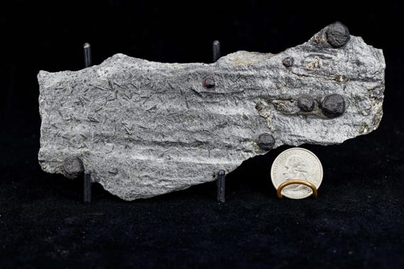 Almandine Garnet with Graphite and Dravite, view 2