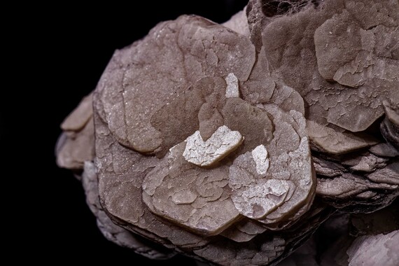 Muscovite with Feldspar, view 3