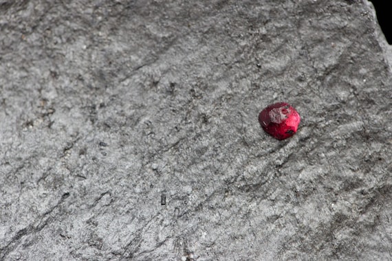 Almandine Garnet with Graphite, view 3