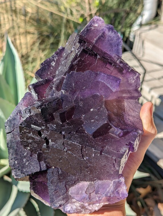 Large Purple Fluorite, view 4
