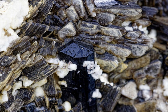 Schorl and Muscovite in Matrix, view 6