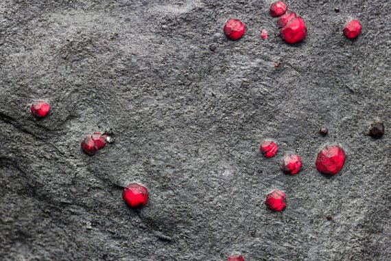 Almandine Garnet with Graphite and Dravite, view 5