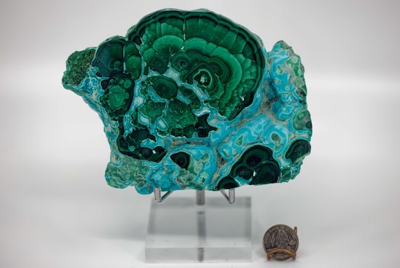 Chrysocolla with Malachite