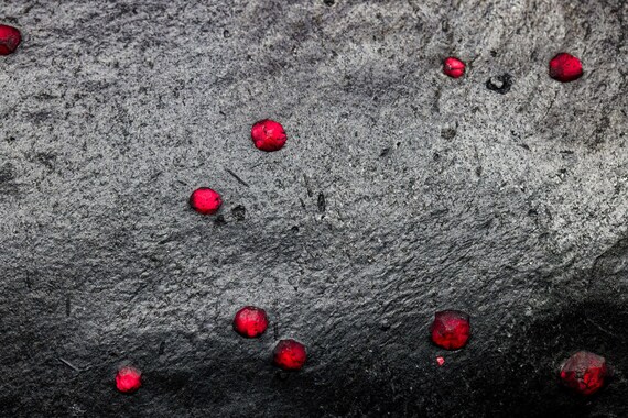 Almandine Garnet with Graphite, view 4