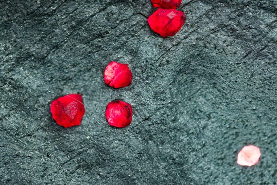 Almandine Garnet with Graphite, view 5