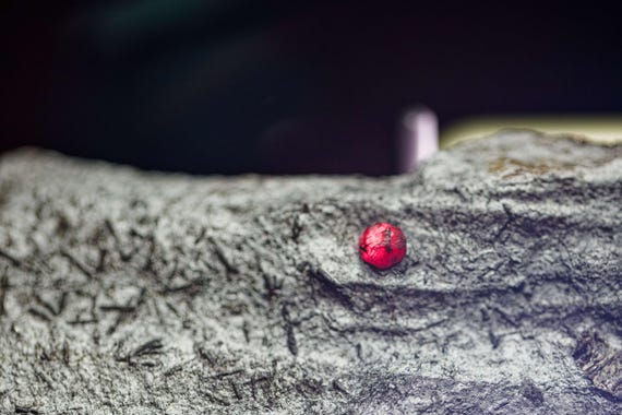 Almandine Garnet with Graphite and Dravite, view 6