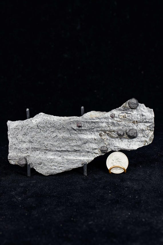Almandine Garnet with Graphite and Dravite, view 3