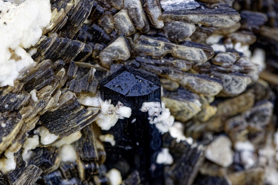 Schorl and Muscovite in Matrix, view 7