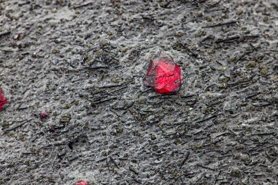 Almandine Garnet with Graphite, view 4