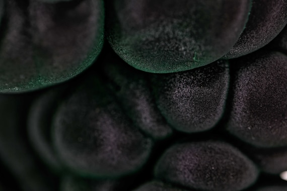 Chatoyant Malachite, view 5
