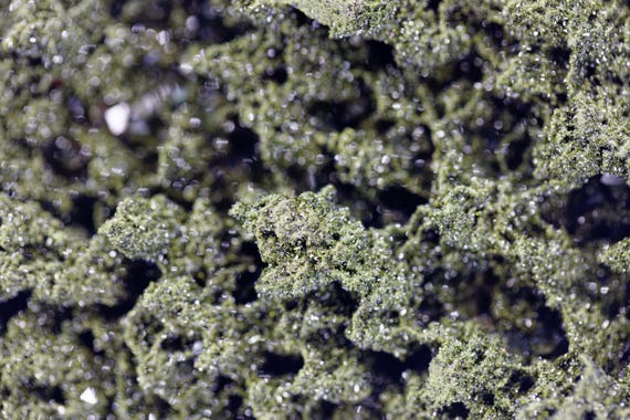 Fairy Forest Epidote, view 6
